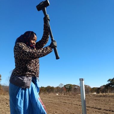 A woman stands with a mallet, putting up a fence around her plot.