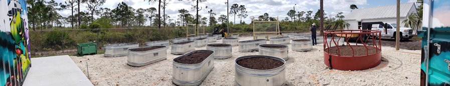 Palm trees line the background of a community garden with empty raised beds filled with dirt