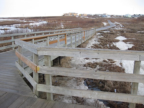 A walk ay into empty land in Bethel, Alaska.