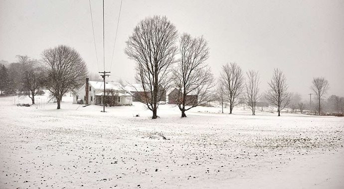 Landscape photo of barren trees and snow-covered ground