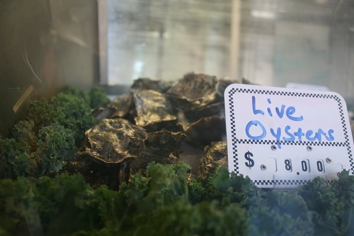 Photograph of oysters and kale