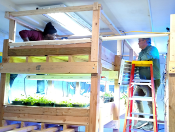 A young black man examines lighting and the frame for a farmory in a warehouse