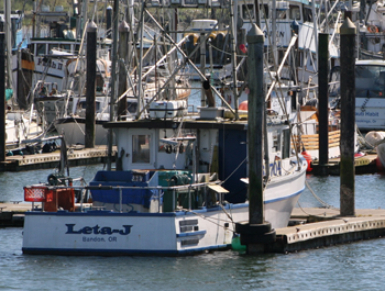 Several tall boats on a pier