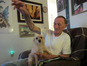 A man sitting in a chair, throwing a toy for the small brown dog on his lap.