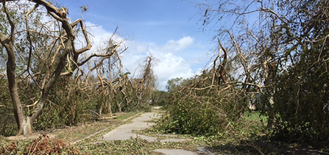 Story_RuralNeighborhoodsHurricaneIrma1